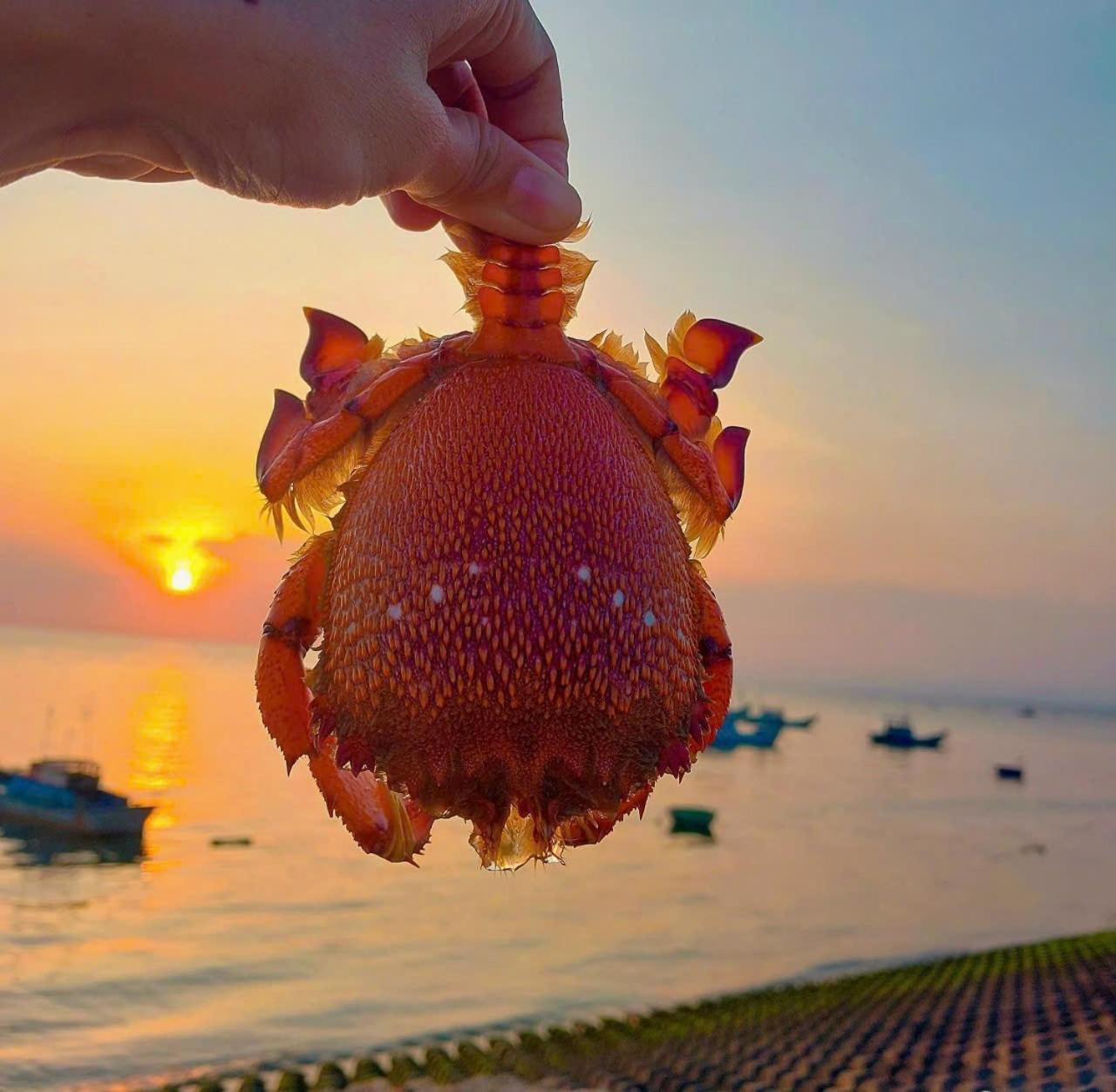 Nha Nghi Phong Quynh - Dao Phu Quy Hotel Cu Lao Thu Luaran gambar